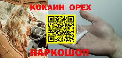 крисы Кунгур