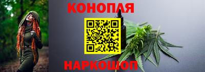 прущие грибы Краснознаменск
