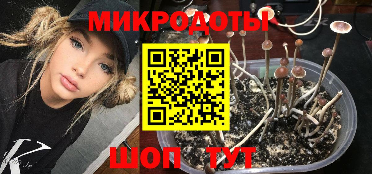Галлюциногенные грибы мухоморы  Вход с VPN  Камышлов  купить наркотик  Галлюциногенные грибы Magic Shrooms 