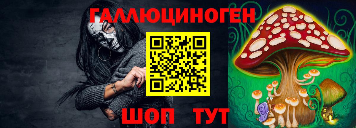 Галлюциногенные грибы MAGIC MUSHROOMS Камышлов