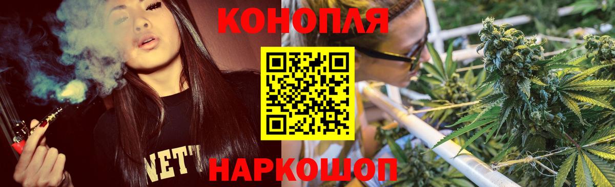 Каннабис план Камышлов